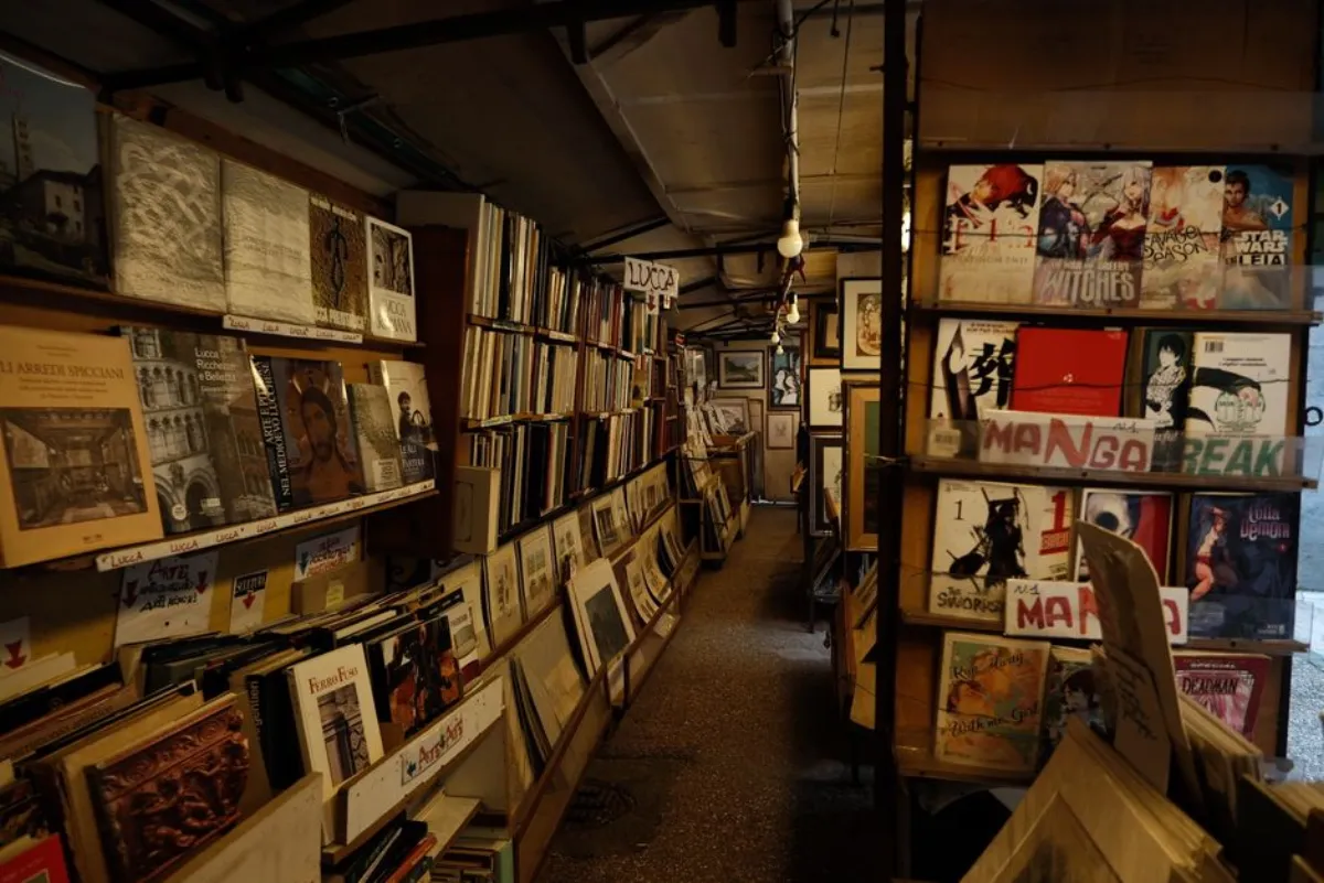 manga books